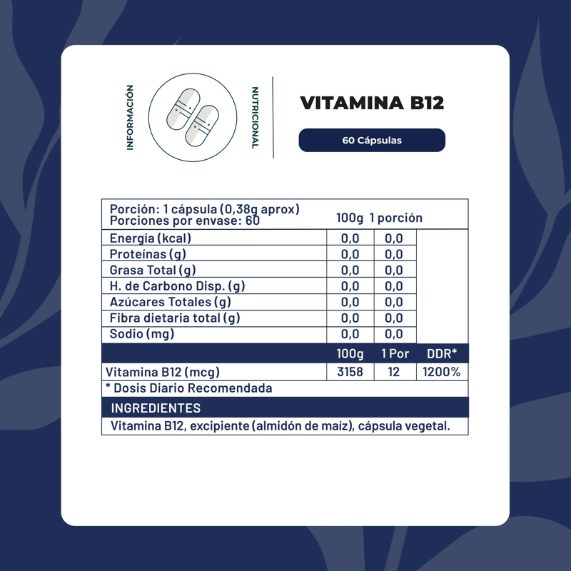 VITAMINA B12 60 CAP KARUN LIFE - 2