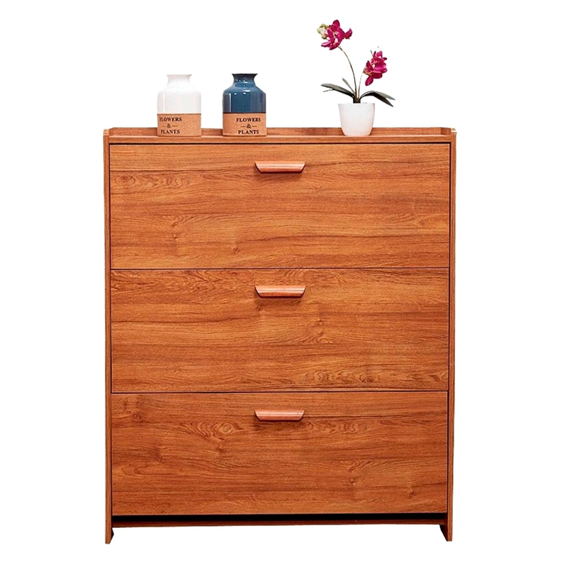 MUEBLE ZAPATERO ORGANIZADOR ESTANTE PARA ZAPATOS VTRIN - 1