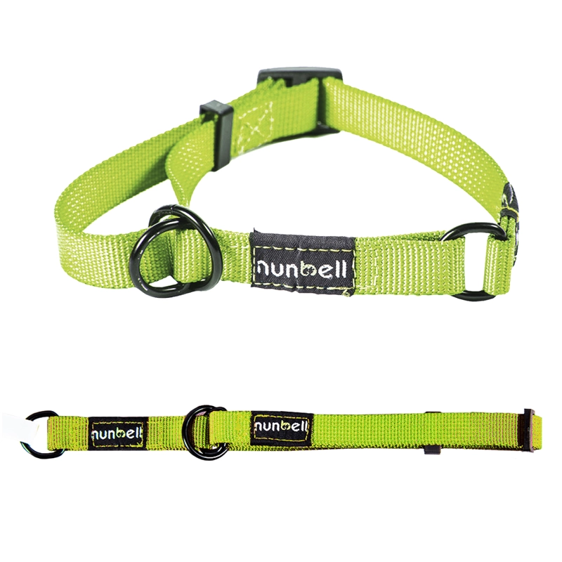 COLLAR GATO PERRO RESISTENTE AJUSTABLE VERDE - 4