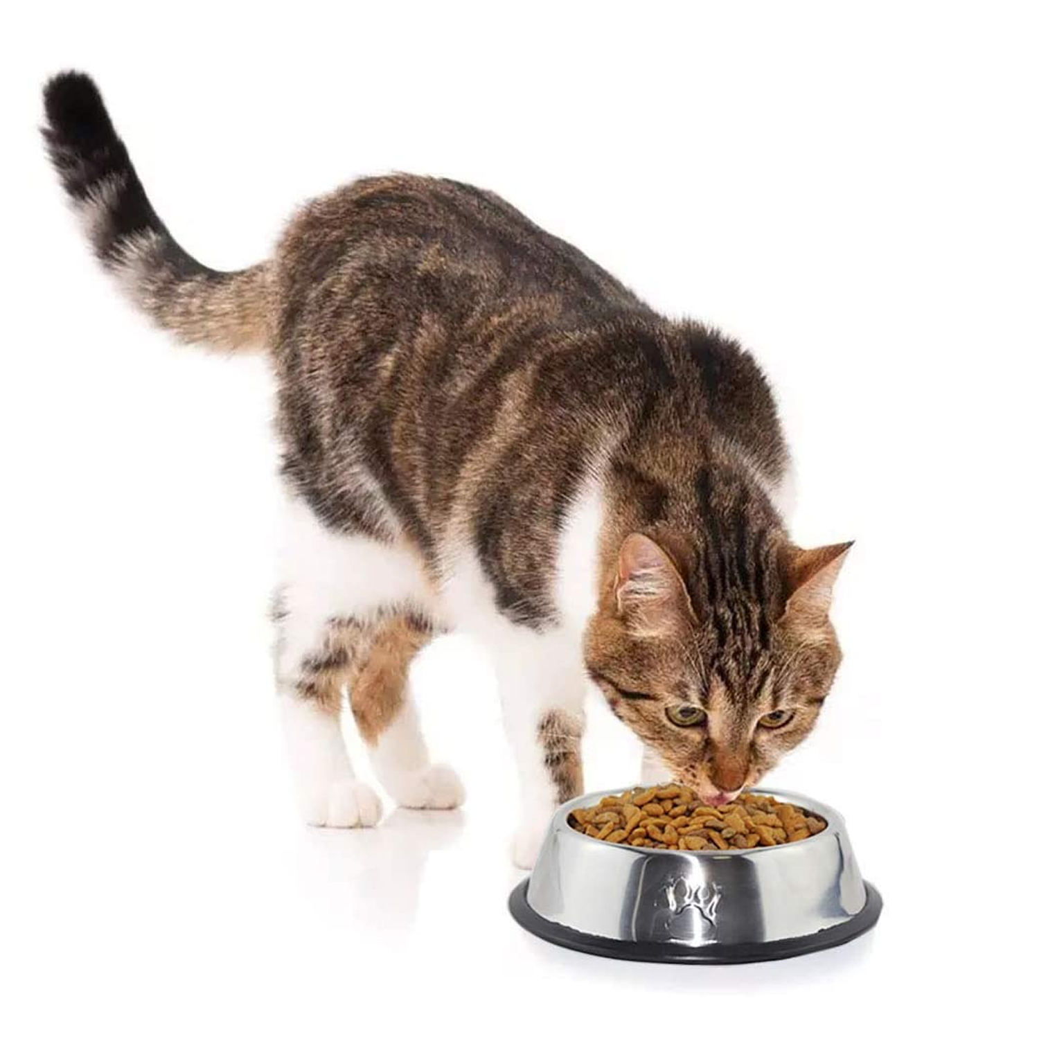 PLATO PERROS GATOS ANTIDESLIZANTE IMPORTCLICK ACERO INOXIDABLE 30 CM - 5