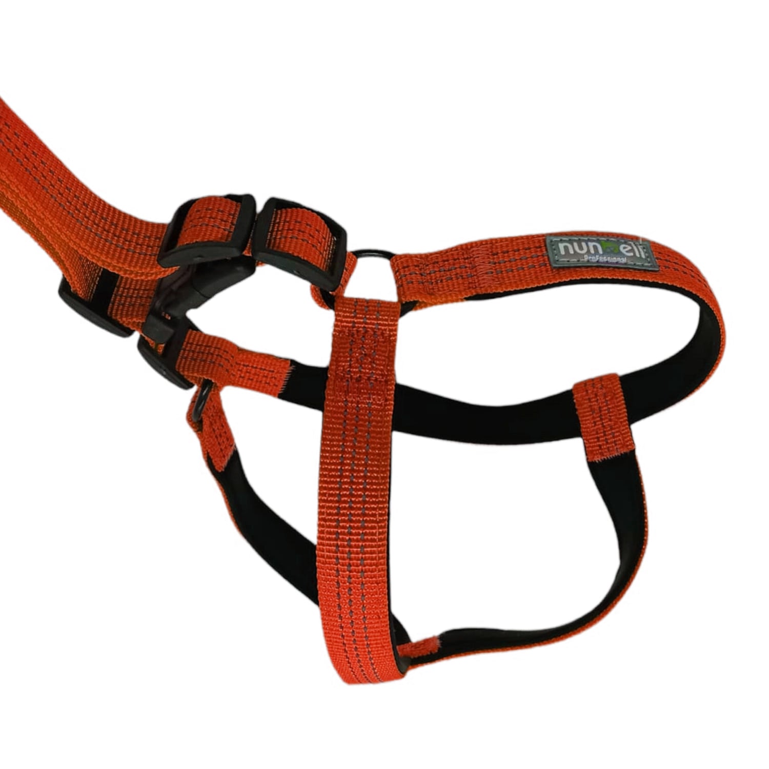 ARNES CON CORREA PERROS MAS.23 IMPORTCLICK RESISTENTE Y AJUSTABLE NARANJO - 3