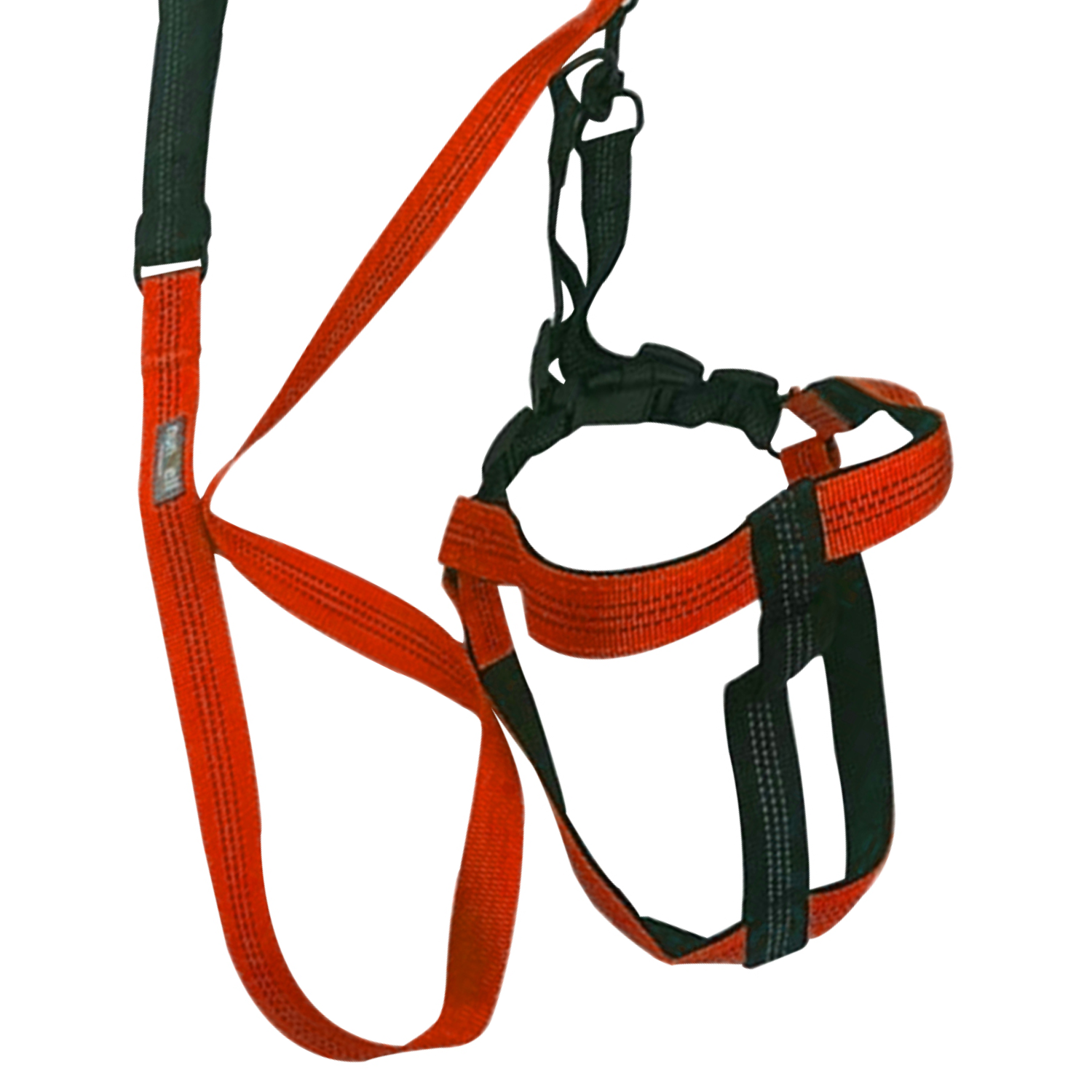 ARNES CON CORREA PERROS MAS.23 IMPORTCLICK RESISTENTE Y AJUSTABLE NARANJO - 4