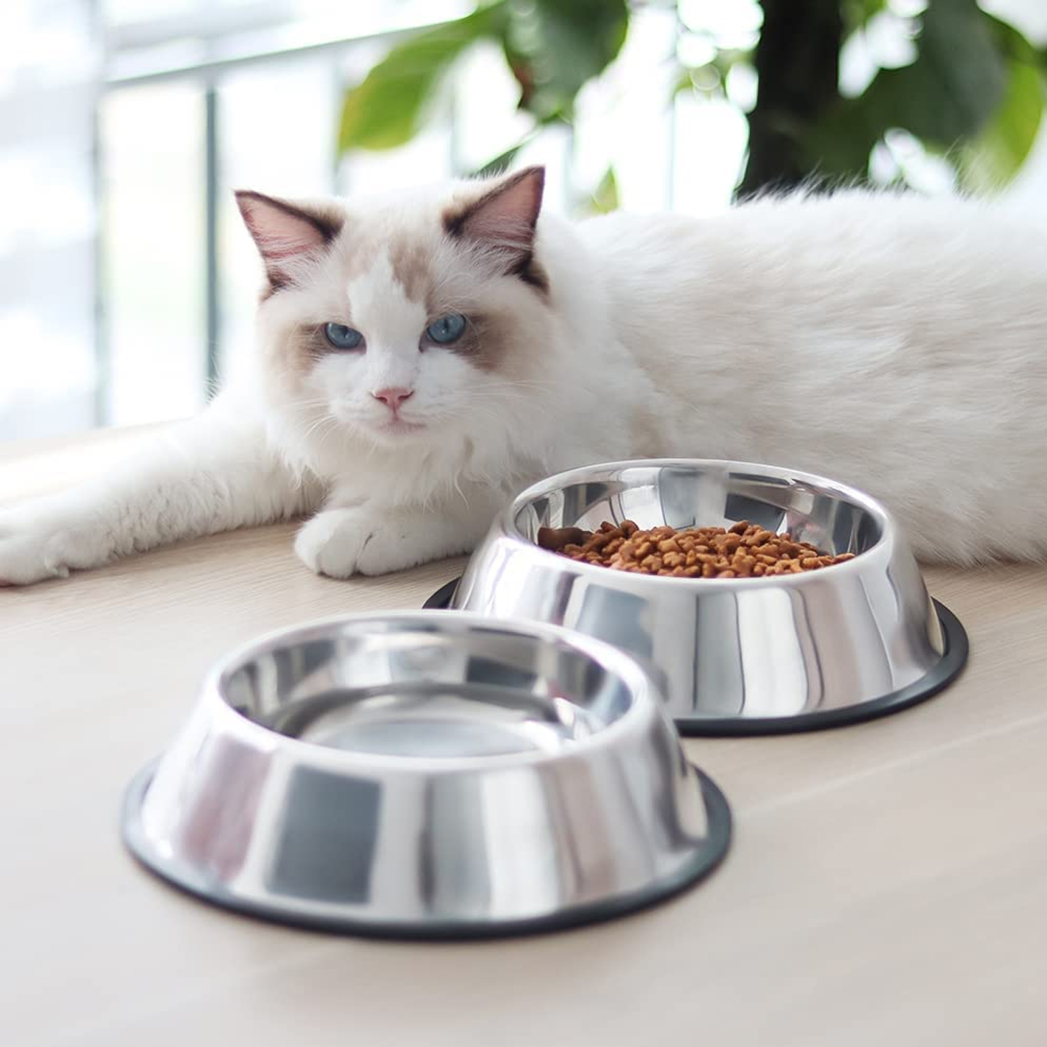 PLATO PERROS GATOS ANTIDESLIZANTE IMPORTCLICK ACERO INOXIDABLE 27 CM - 6