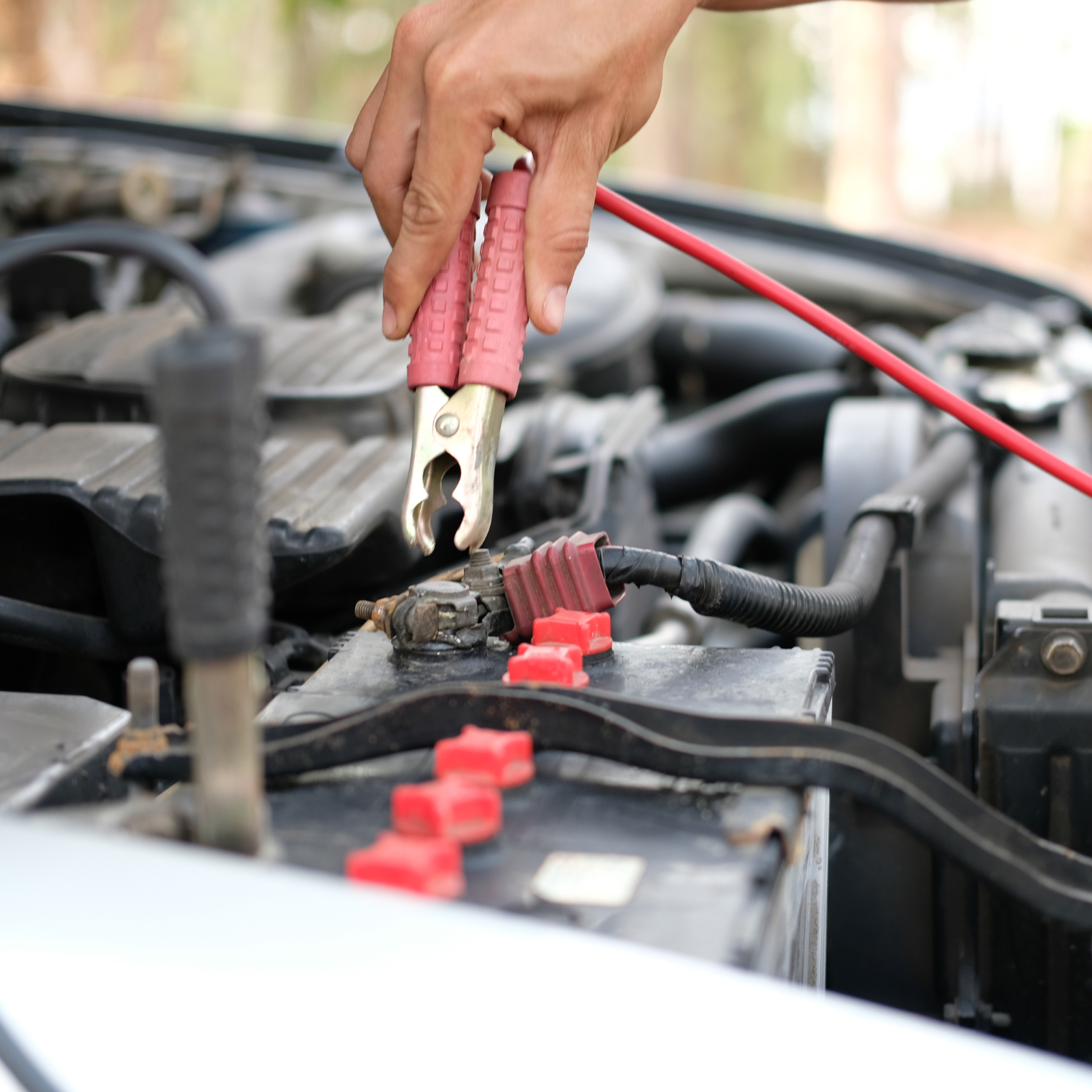 CARGADOR BATERÍA IMPORTCLICK AUTO MOTO 6/12 VOLT 6 AMPERES - 5