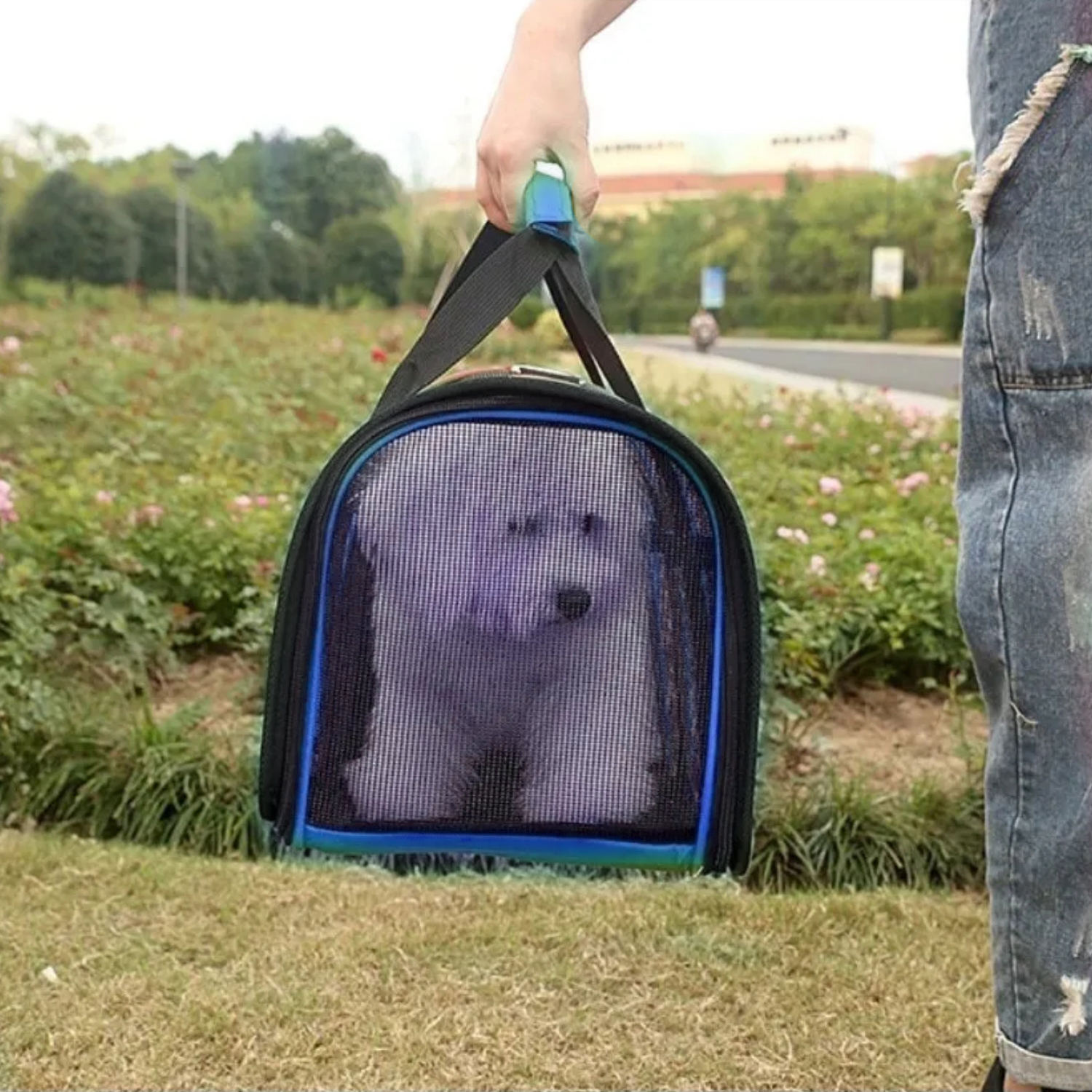 CANIL PERROS BOLSO TRANSPORTE IMPORTCLICK AZUL 34X24X23 CM - 4