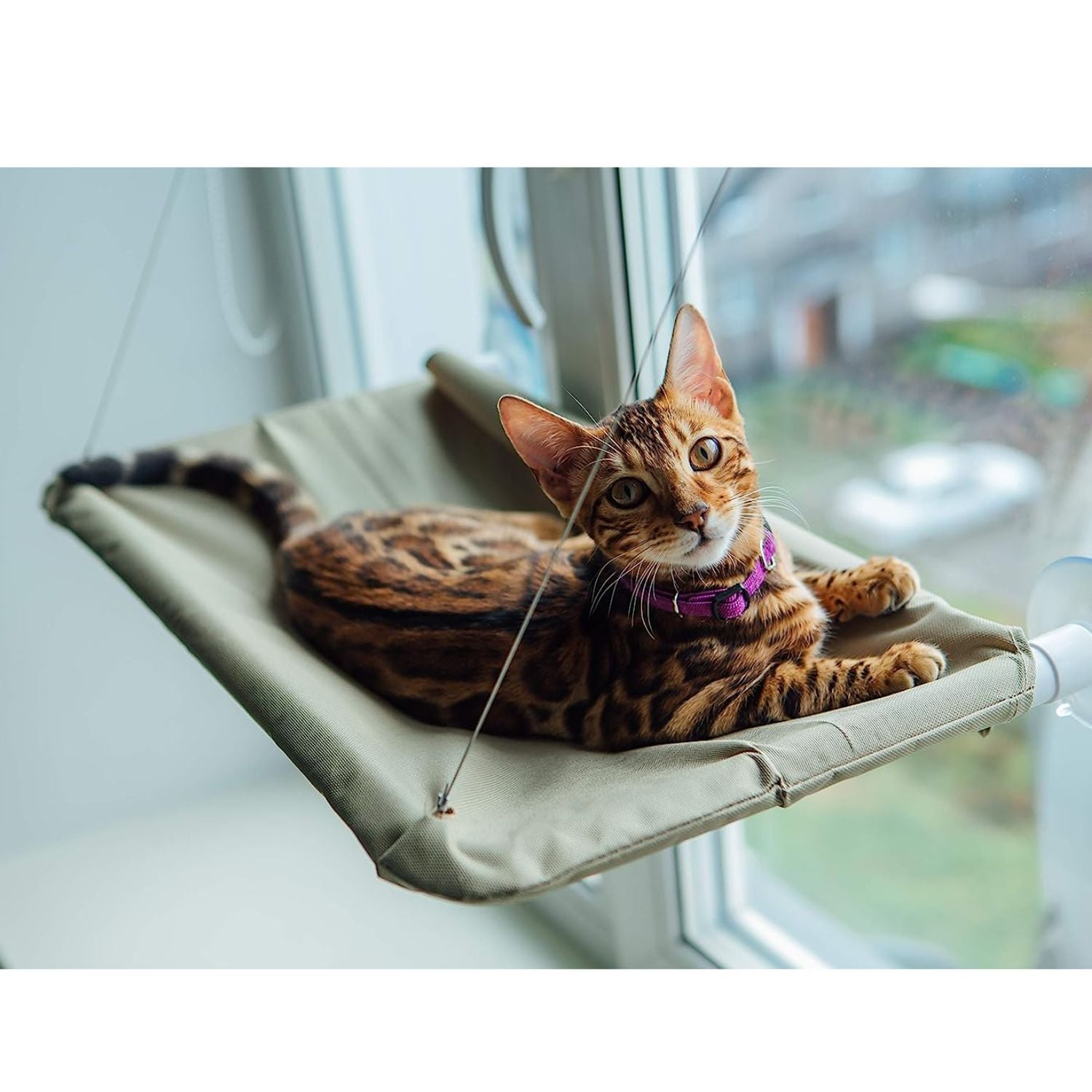 CAMA GATO IMPORTCLICK HAMACA VENTANA 55X32 CM - 3