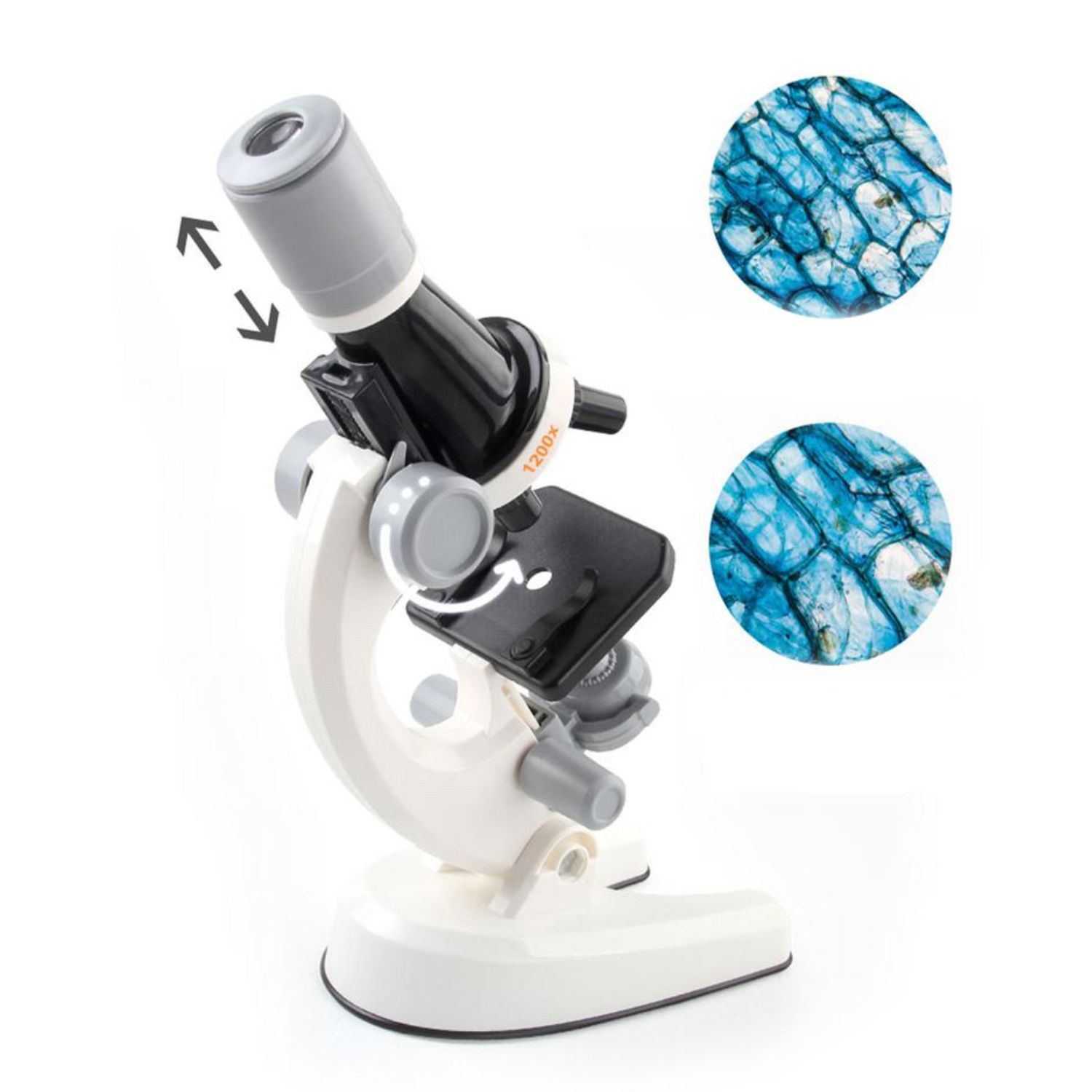 MICROSCOPIO IMPORTCLICK INF.73 EDUCATIVO JUGUETE NIÑOS KIT ACCESORIOS BLANCO - 5