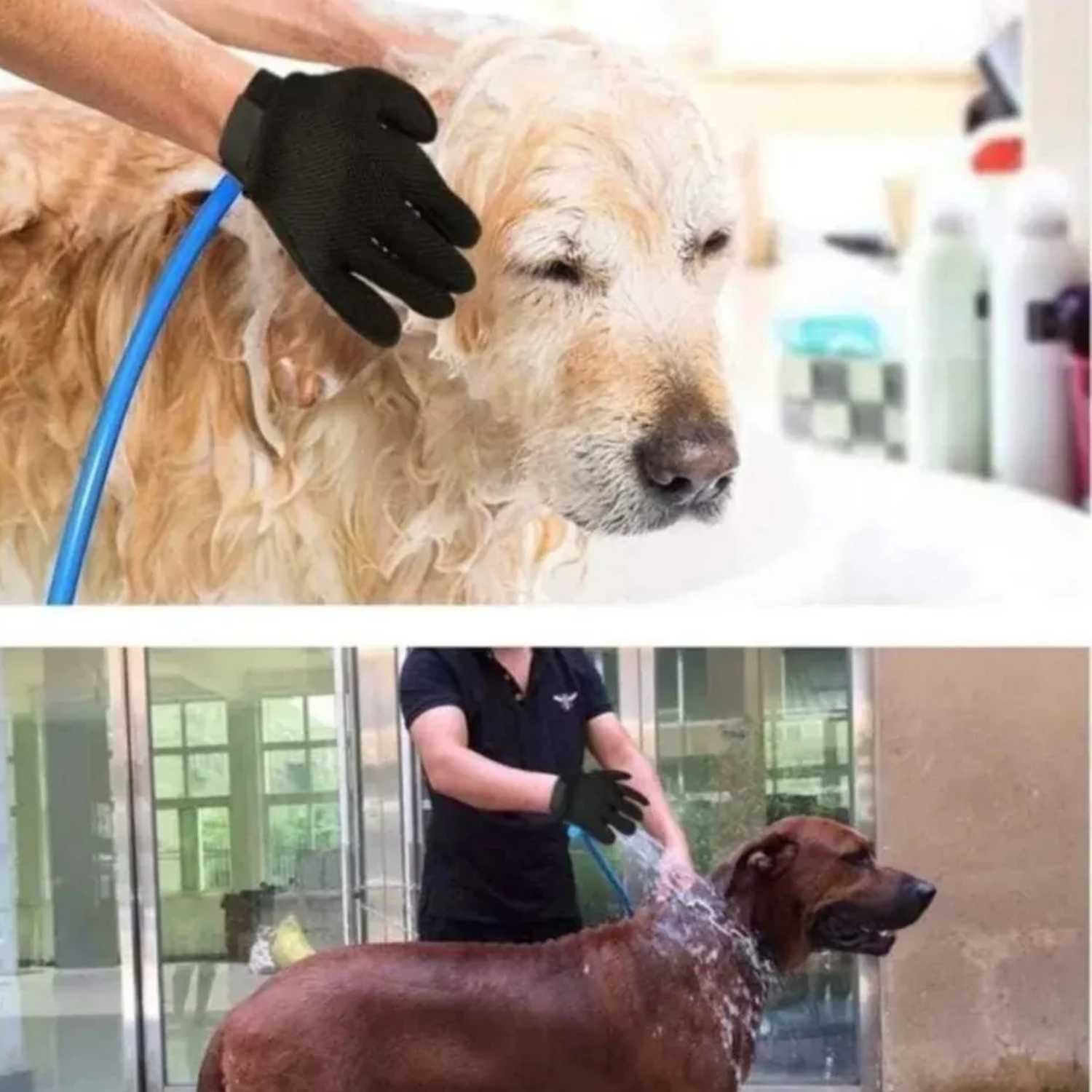 GUANTE DUCHA MASAJEADOR PERROS IMPORTCLICK 2 EN 1 MASCOTAS MANGUERA AZUL - 6