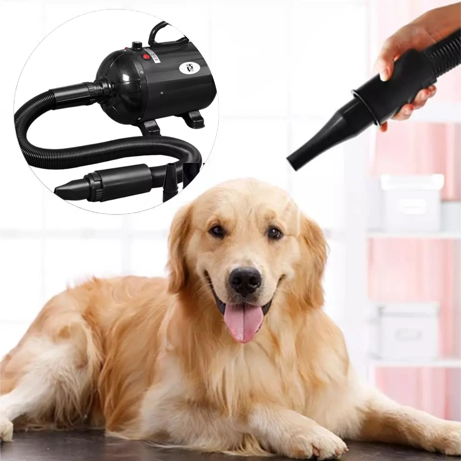 SECADORA PERRO GATO 2800 CAFÉ V PERRO DLX - 5