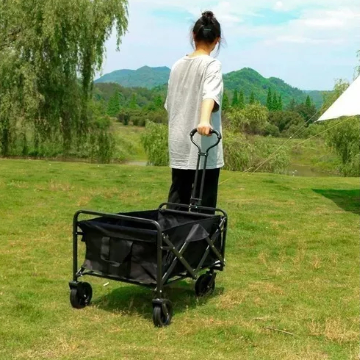 CARRITO COMPRAS PLEGABLE CAMPING PRO MAX NEGRO - 2
