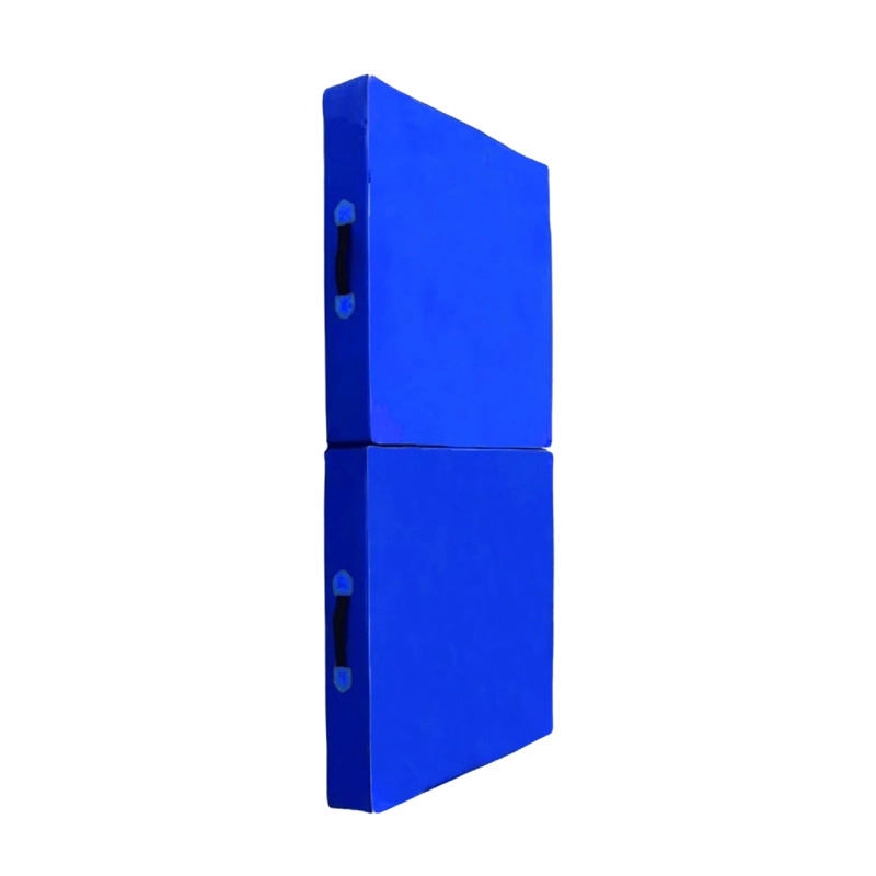 COLCHONETA DEPORTIVA PILATE YOGA 100X50X5 CM AZUL - 2