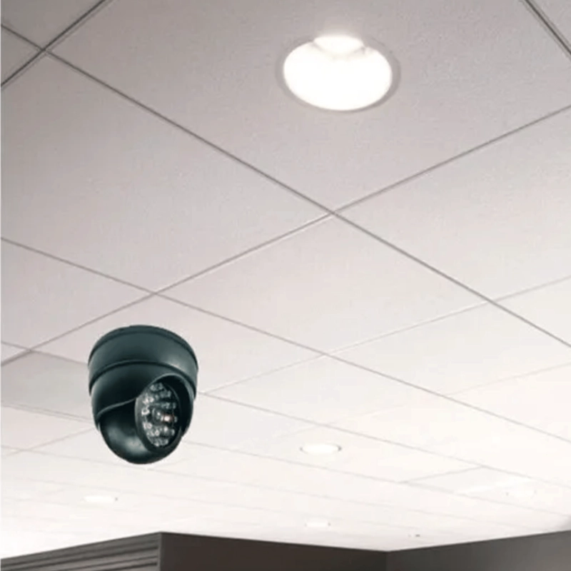 CAMARA VIGILANCIA FALSA LUZ LED INTERMITENTE - 5