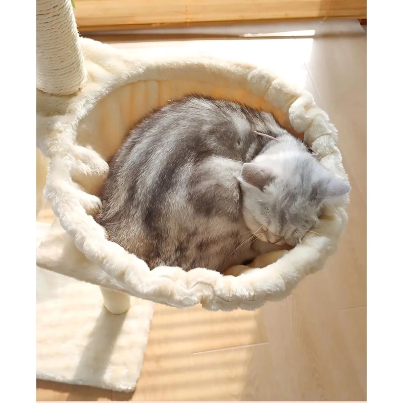 RASCADOR CAMA TORRE MASCOTA GATO 45X1.48X1 MTS BEIGE - 5