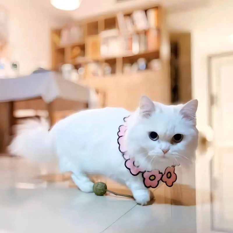 COLLAR PAÑUELO MASCOTAS PERRO GATO 25-32 CM BLANCO - 3
