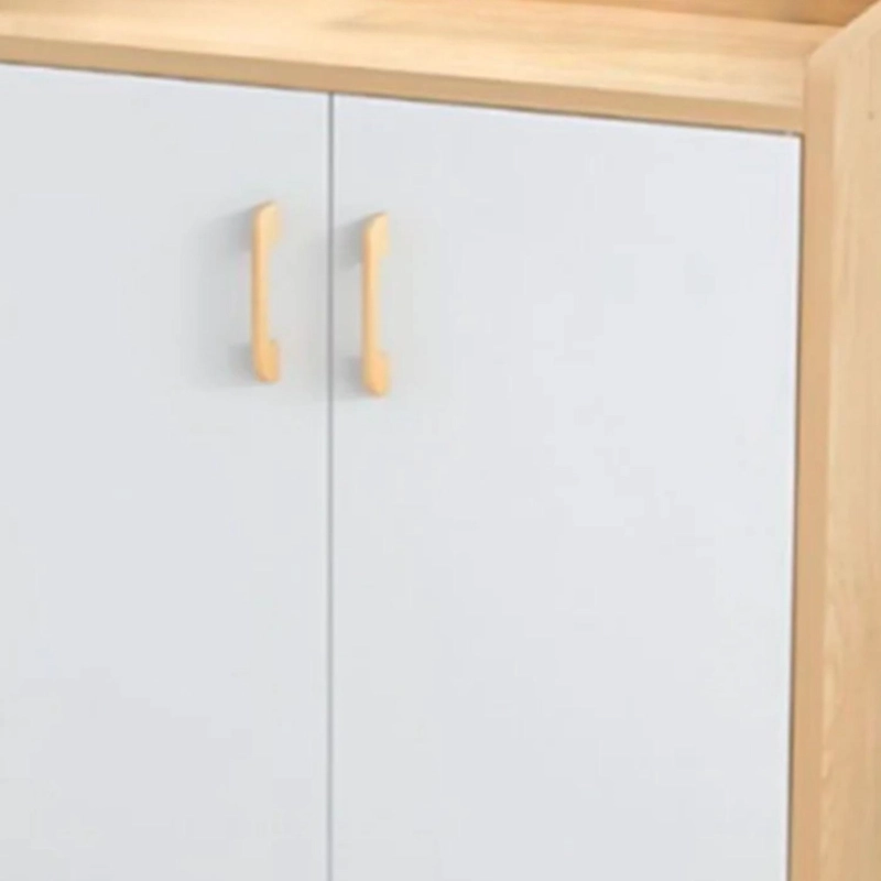 MUEBLE ORGANIZADOR ZAPATERO 2 PUERTAS 60X90X30 CM - 3