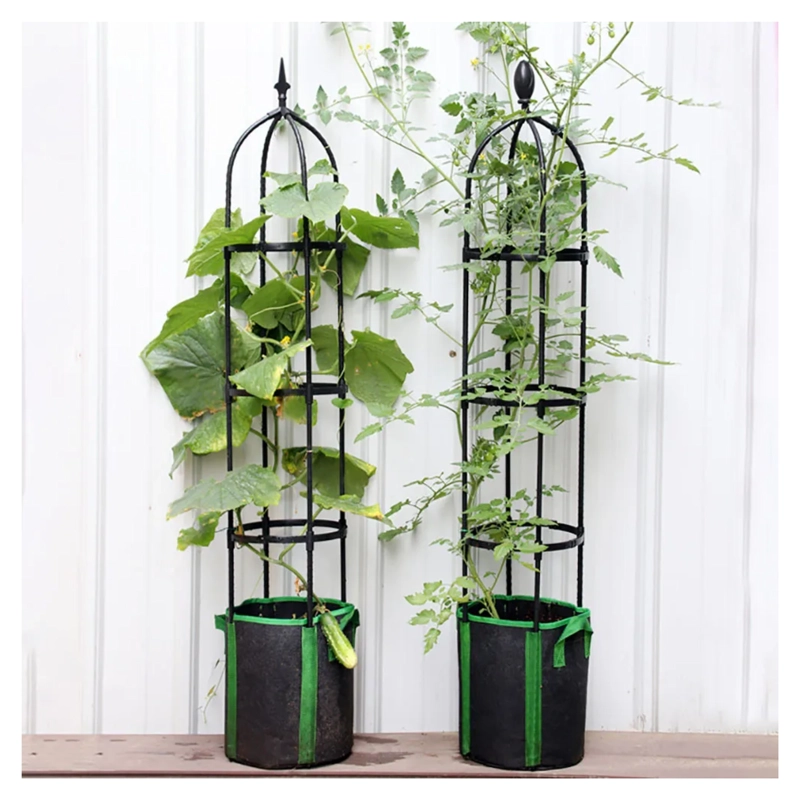 SOPORTE ENREDADERAS PLANTAS TREPADORAS 120 CM - 6