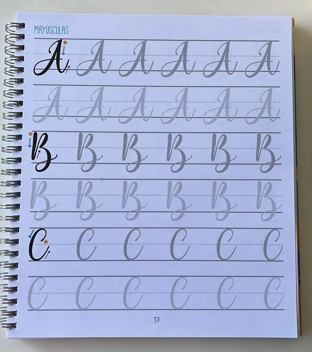 CUADERNO LETTERING TU PROPIO ESTILO 50 HOJAS PROARTE - 2