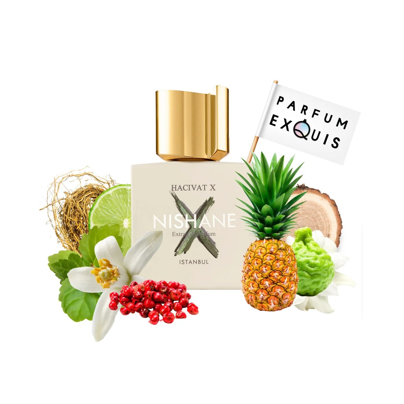 PERFUME NISHANE HACIVAT X EXTRAIT DE PARFUM 50 ML UNISEX - 3