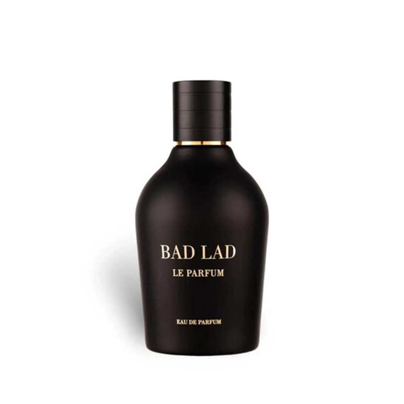 PERFUME FRAGRANCE WORLD BAD LAD LE PARFUM EDP 100 ML HOMBRES - 2