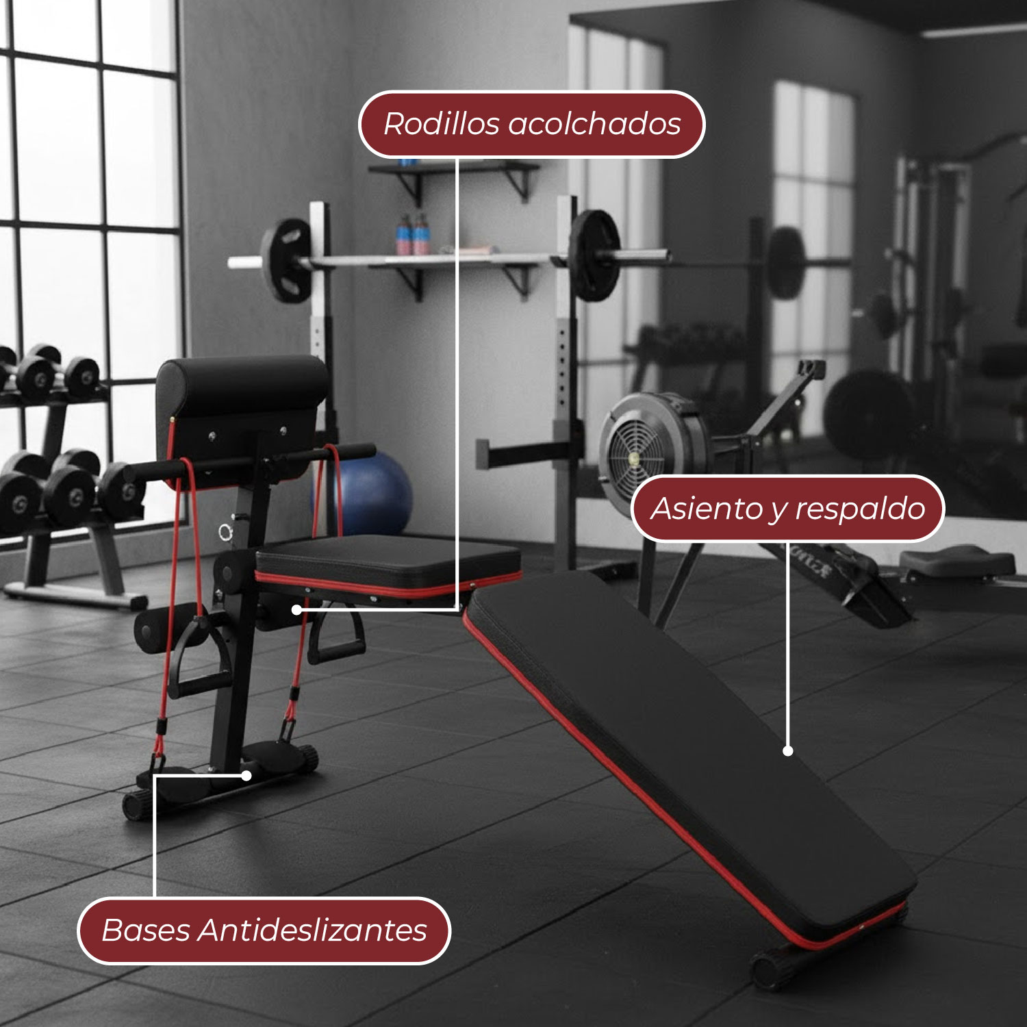 PRESS BANCA ABDOMINAL RECLINABLE PARA PESAS CON BANDAS - 6