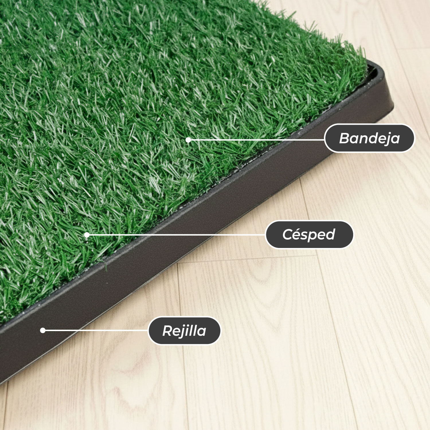 BAÑO PERROS MUNDO ONLINE ECOLOGICO GRANDE LAVABLE MASCOTAS - 6