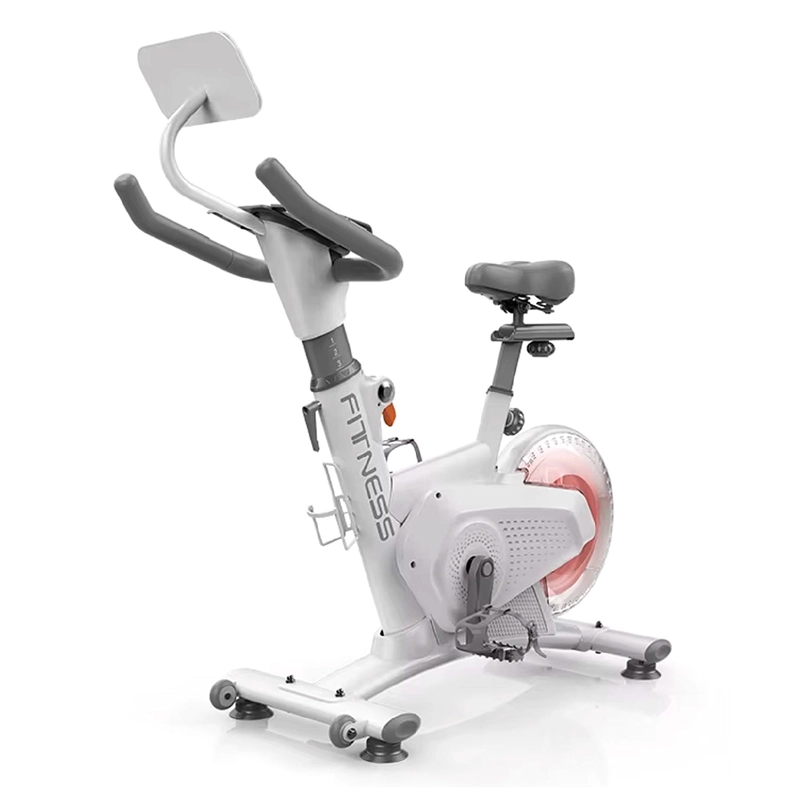 BICICLETA SPINNING MAGNETICA PROFESIONAL K11 8 KG COLOR BLANCO - 1