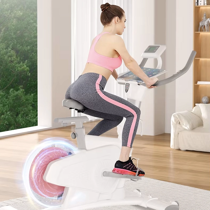 BICICLETA SPINNING MAGNETICA PROFESIONAL K11 8 KG COLOR BLANCO - 8