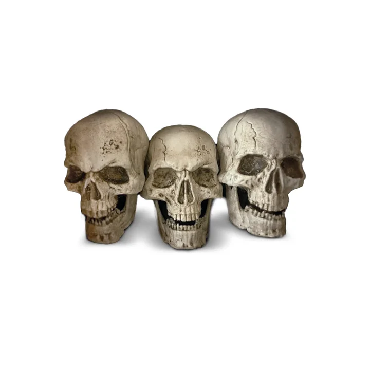 ESTACAS CALAVERAS LUZ LED 29CM DECO HALLOWEEN FRANK&MORTIS - 1