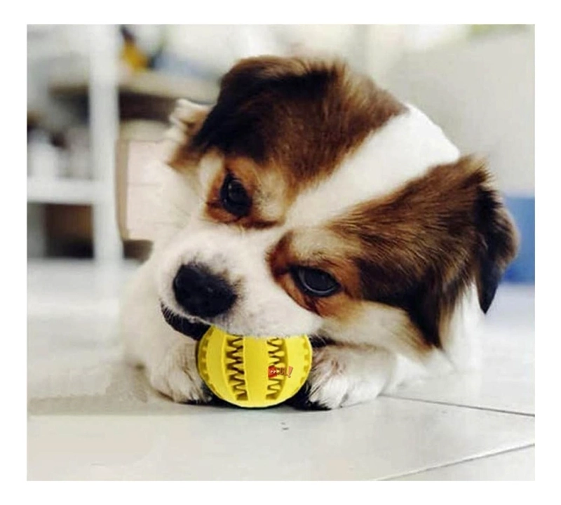 PELOTA PERROS PUNTOSTORE MASCOTAS DE JUGUETE LIMPIEZA DE DIENTES PS - 3