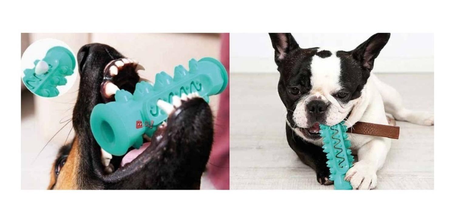 HUESO PERROS PUNTOSTORE MASCOTAS DE JUGUETE LIMPIEZA DE DIENTES PS - 2