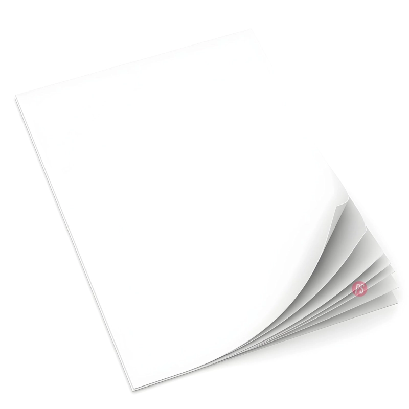 PAPEL FOTOGRAFICO MATE CARTA 108G 100 HOJAS INKJET - PS - 2