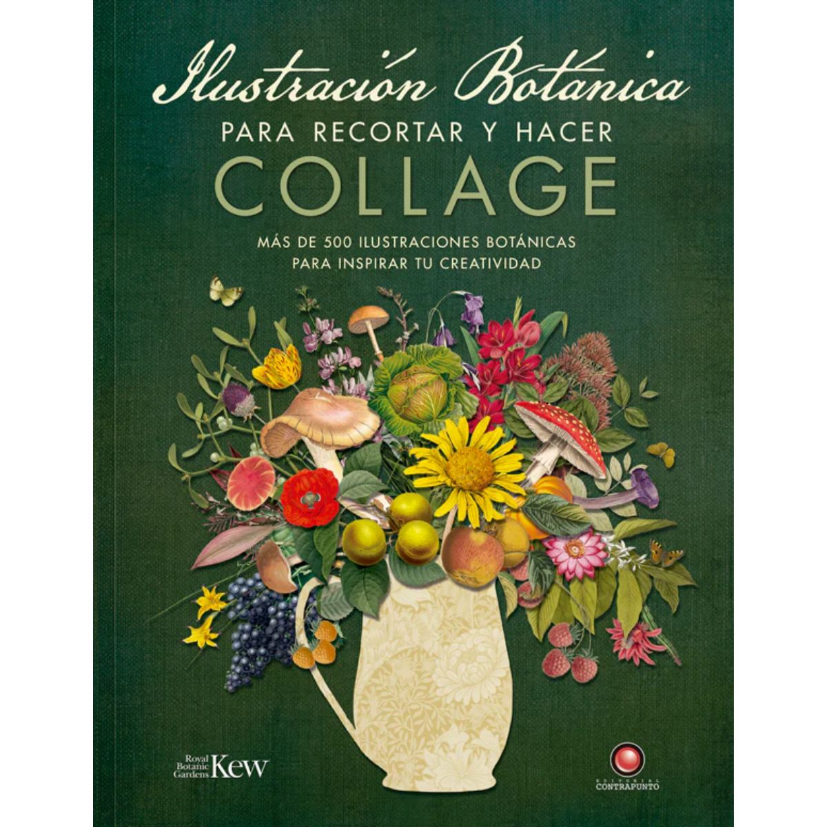 LIBRO ILUSTRACION BOTANICA PARA RECORTAR Y HACER COLLAGE - 1