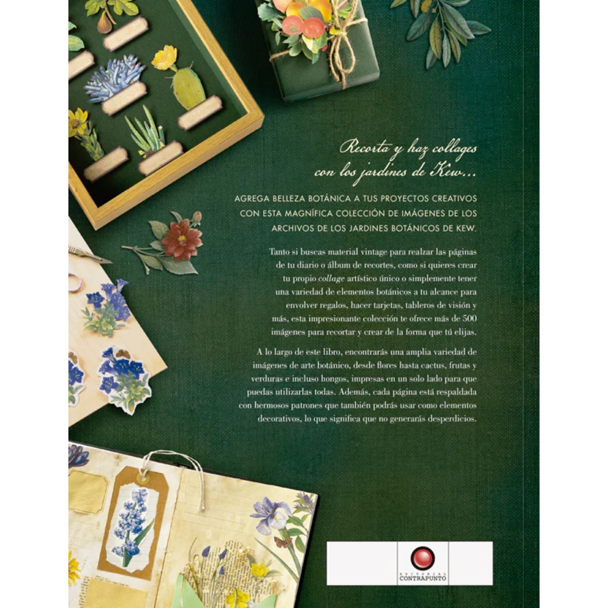 LIBRO ILUSTRACION BOTANICA PARA RECORTAR Y HACER COLLAGE - 2