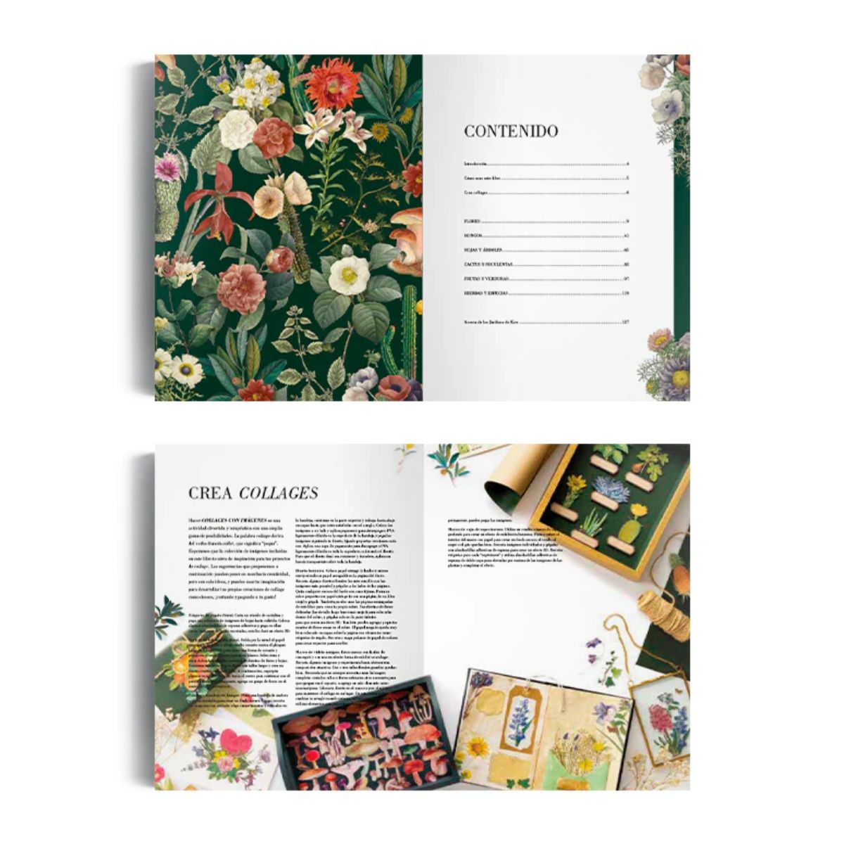 LIBRO ILUSTRACION BOTANICA PARA RECORTAR Y HACER COLLAGE - 3