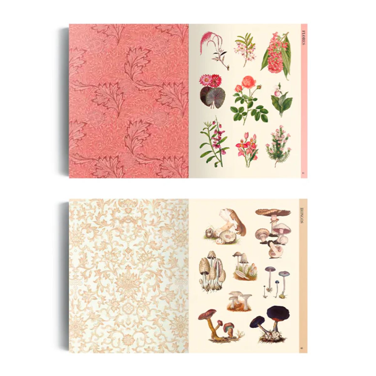 LIBRO ILUSTRACION BOTANICA PARA RECORTAR Y HACER COLLAGE - 4