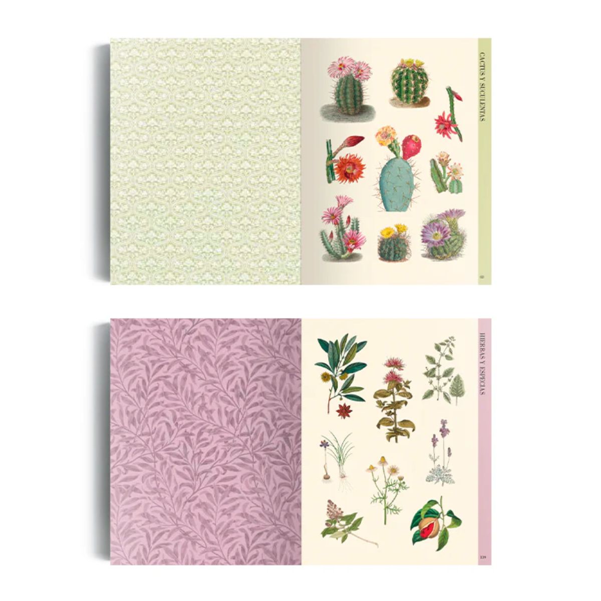 LIBRO ILUSTRACION BOTANICA PARA RECORTAR Y HACER COLLAGE - 5