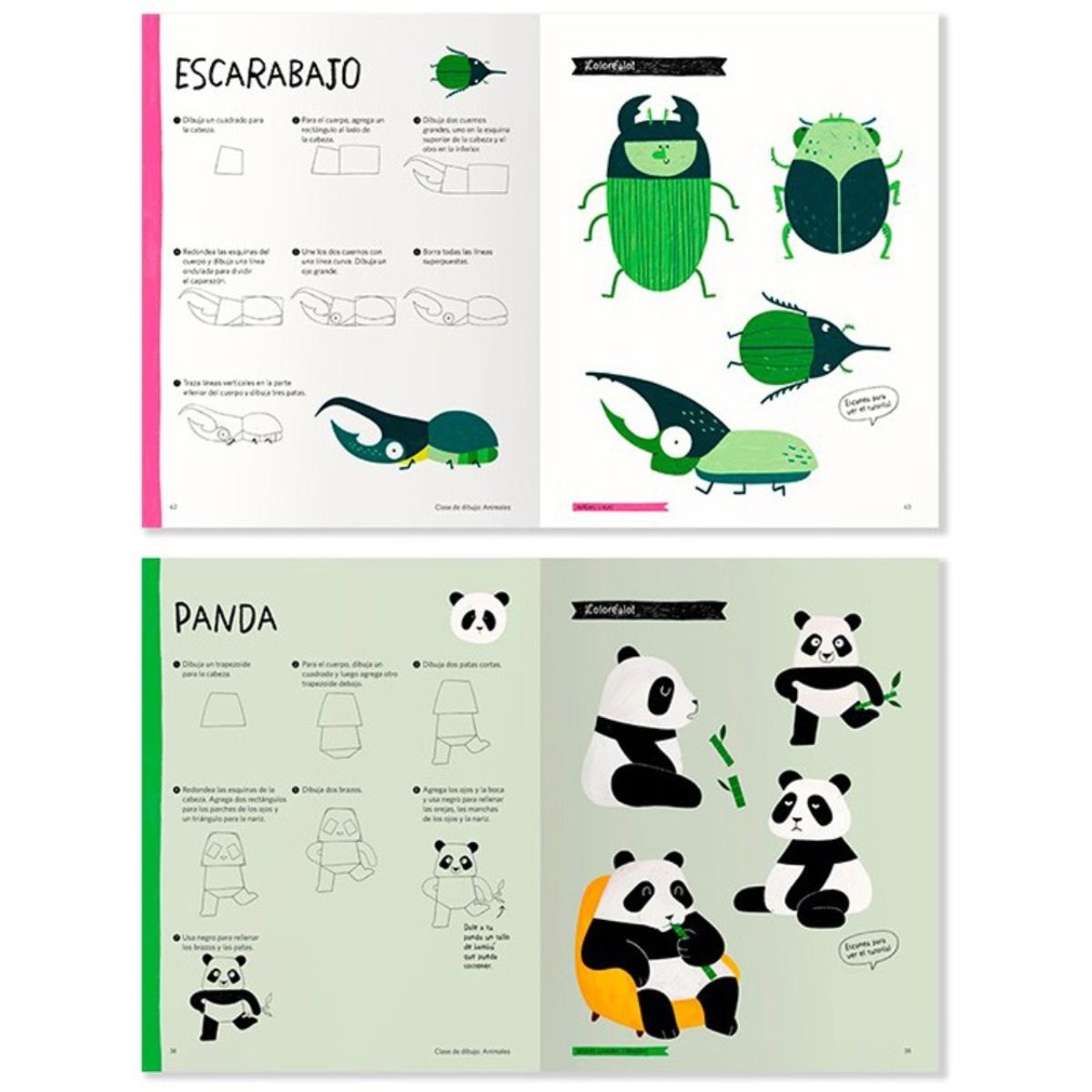 LIBRO CLASE DE DIBUJO ANIMALES HEEGYUM KIM - 3