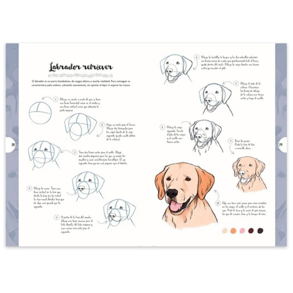 LIBRO DIBUJAR EN 10 PASOS PERROS JUSTINE LECOUFFE - 2
