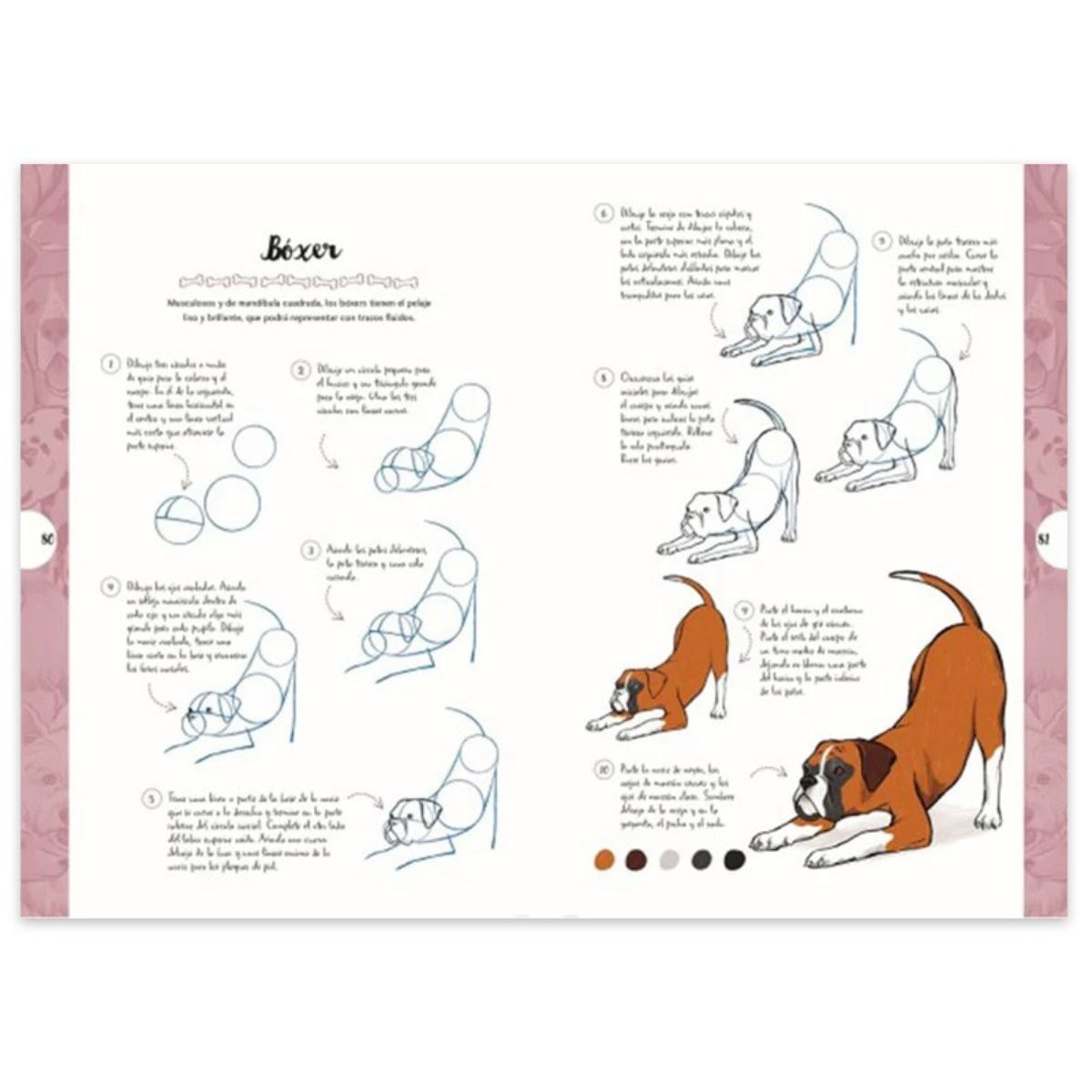 LIBRO DIBUJAR EN 10 PASOS PERROS JUSTINE LECOUFFE - 3