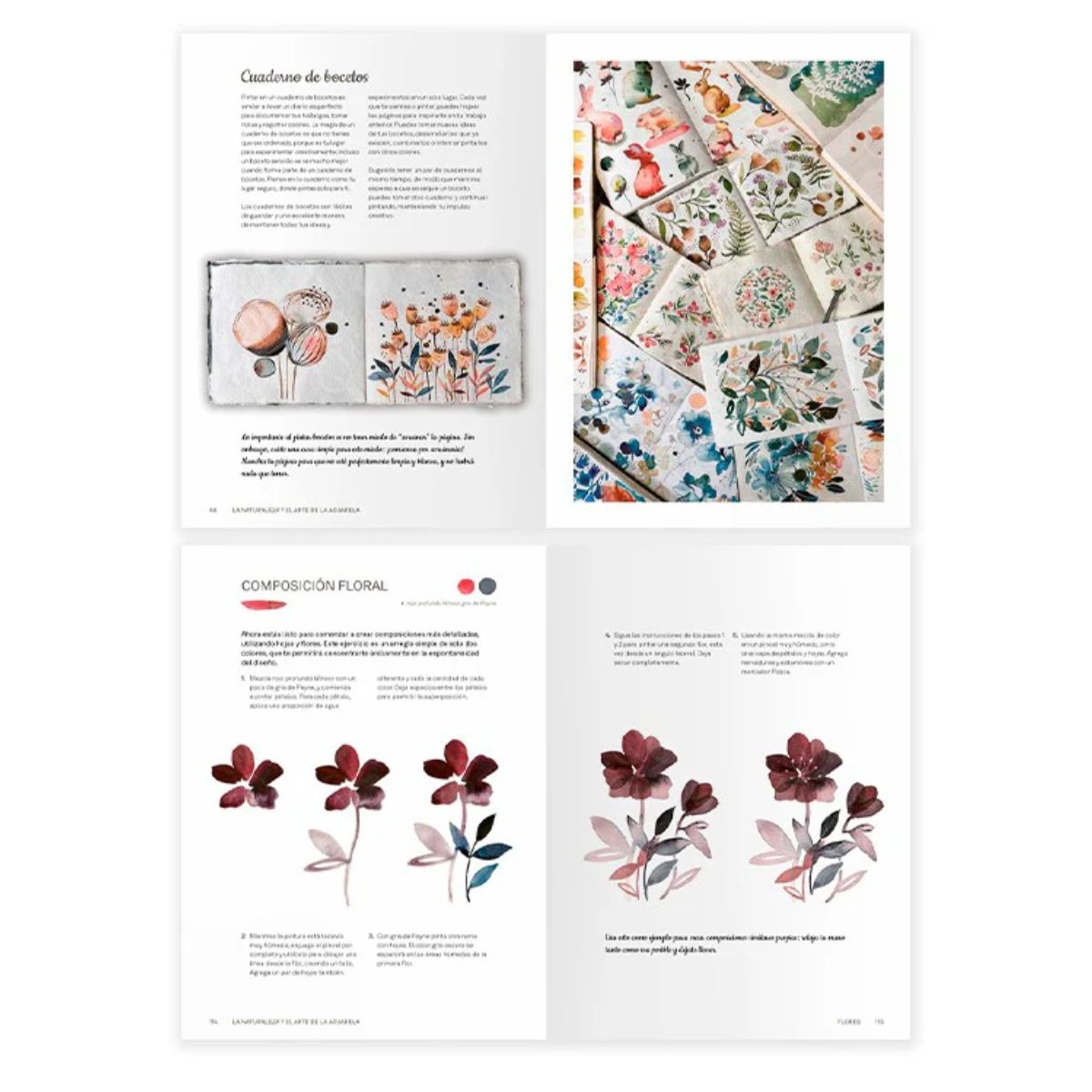 LIBRO LA NATURALEZA Y EL ARTE DE LA ACUARELA BUIVIDAVICE - 2