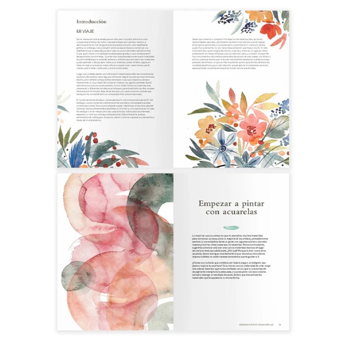 LIBRO LA NATURALEZA Y EL ARTE DE LA ACUARELA BUIVIDAVICE - 3
