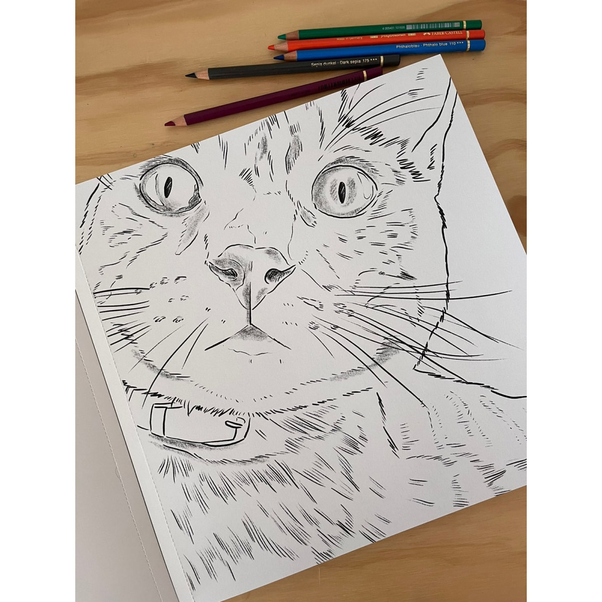 LIBRO PARA COLOREAR GATOS CATA FUENZALIDA - 4
