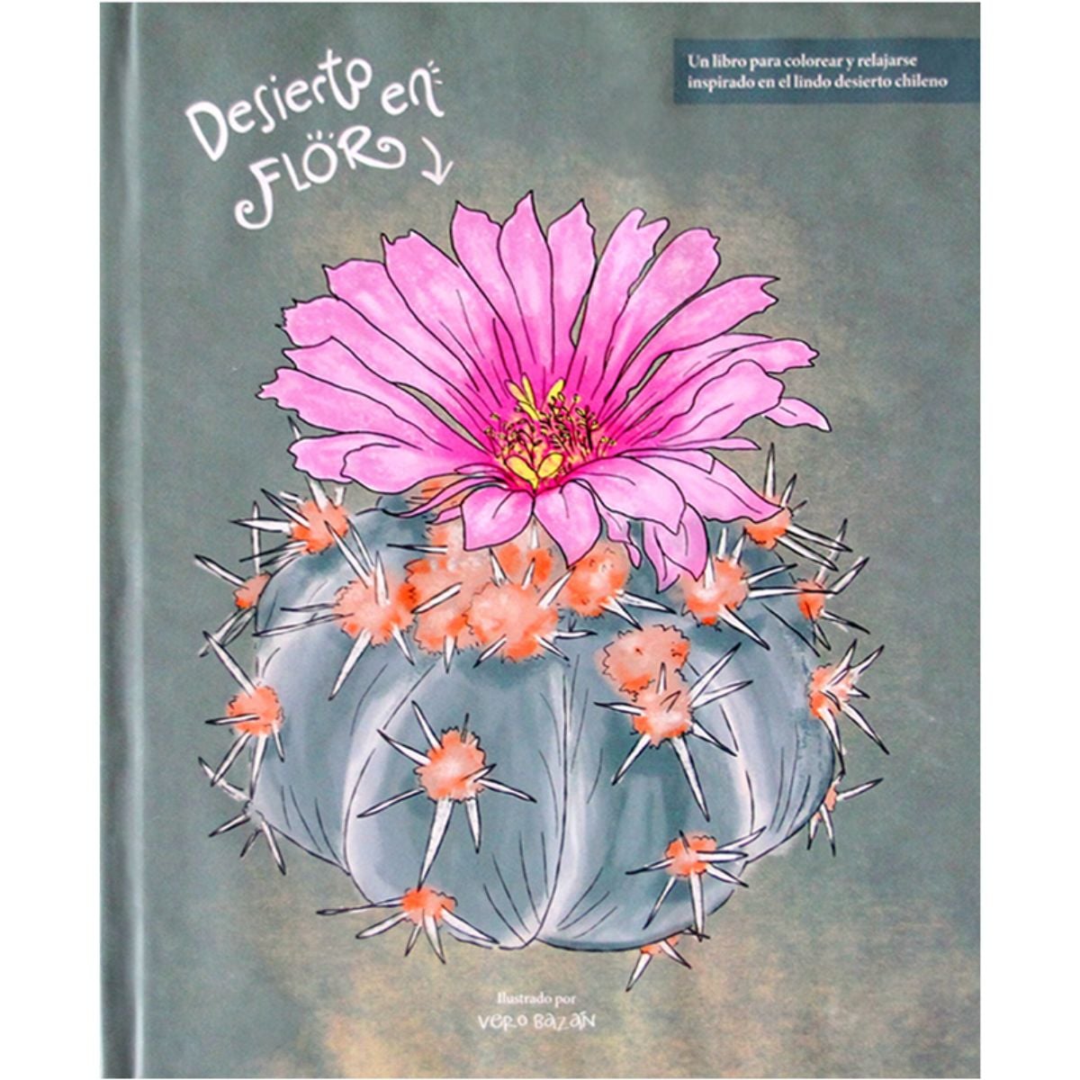 LIBRO DESIERTO EN FLOR VERONICA BAZAN - 1