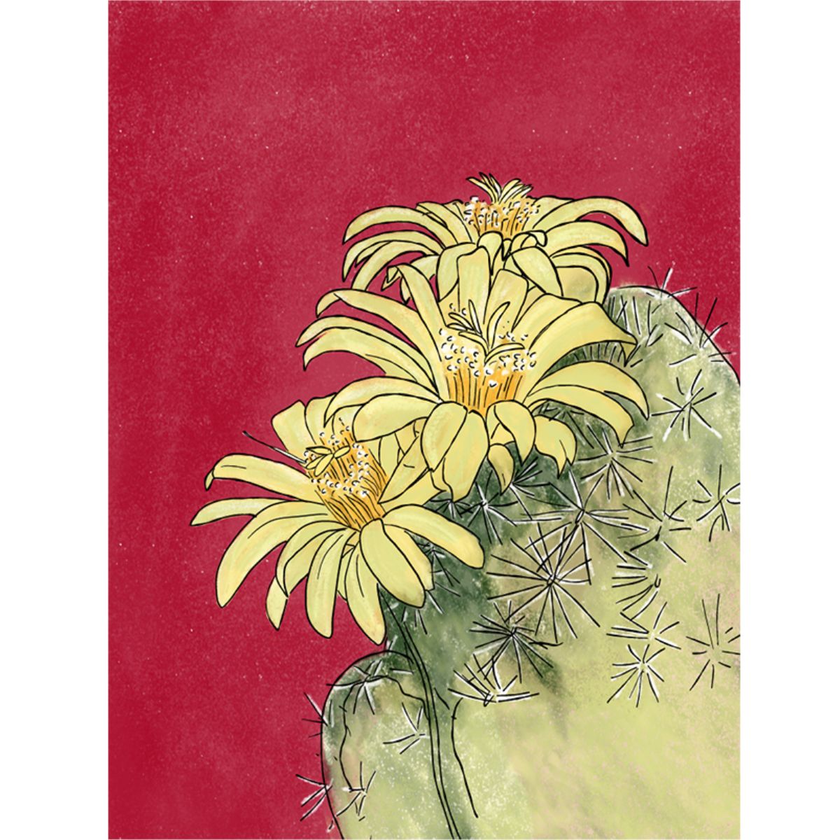 LIBRO DESIERTO EN FLOR VERONICA BAZAN - 4