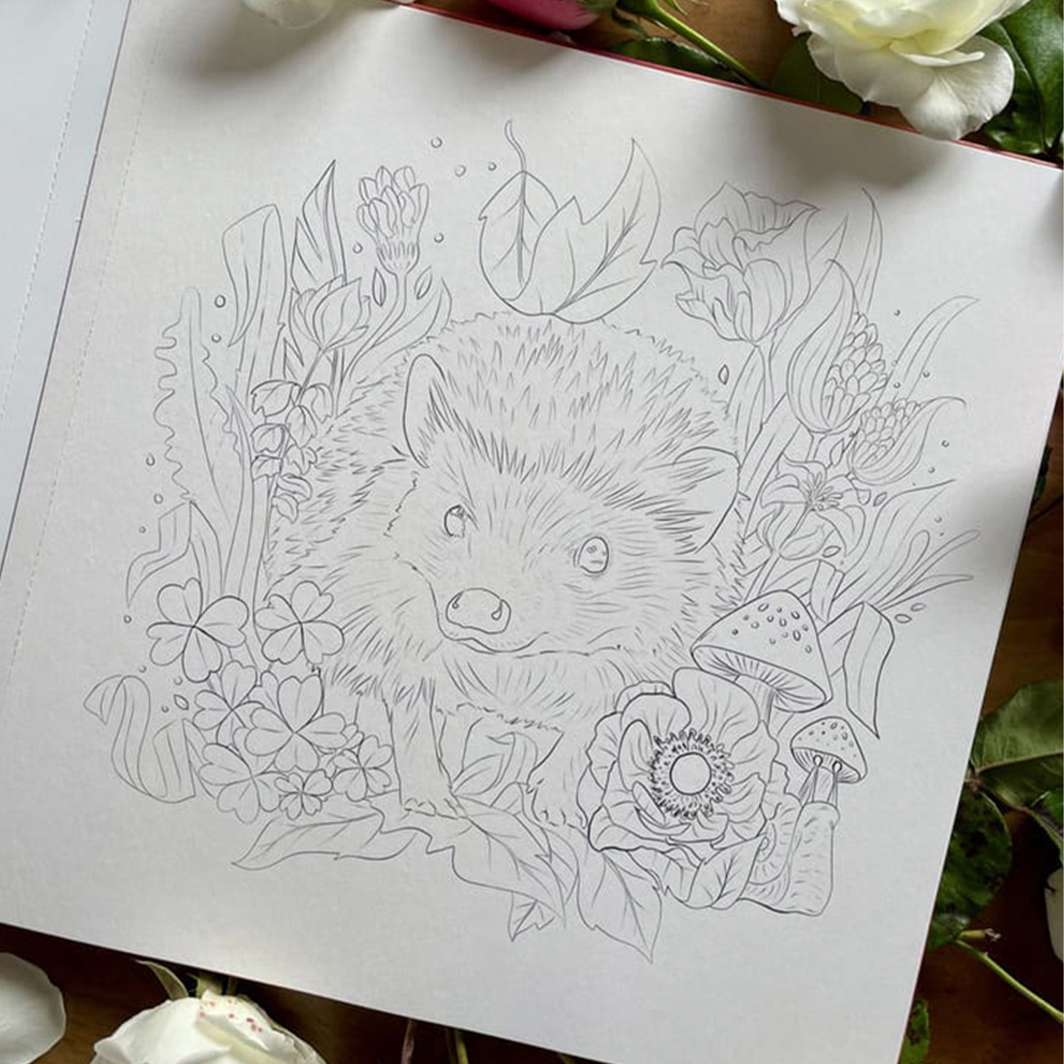 LIBRO PARA COLOREAR MASCOTAS Y FLORES SUN DISEÑO - 6