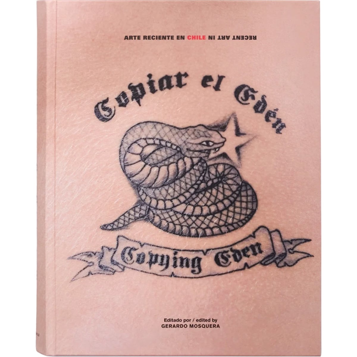 LIBRO COPIAR EL EDE N CLAUDIA PERTUZE Y TOMAS ANDREU - 1