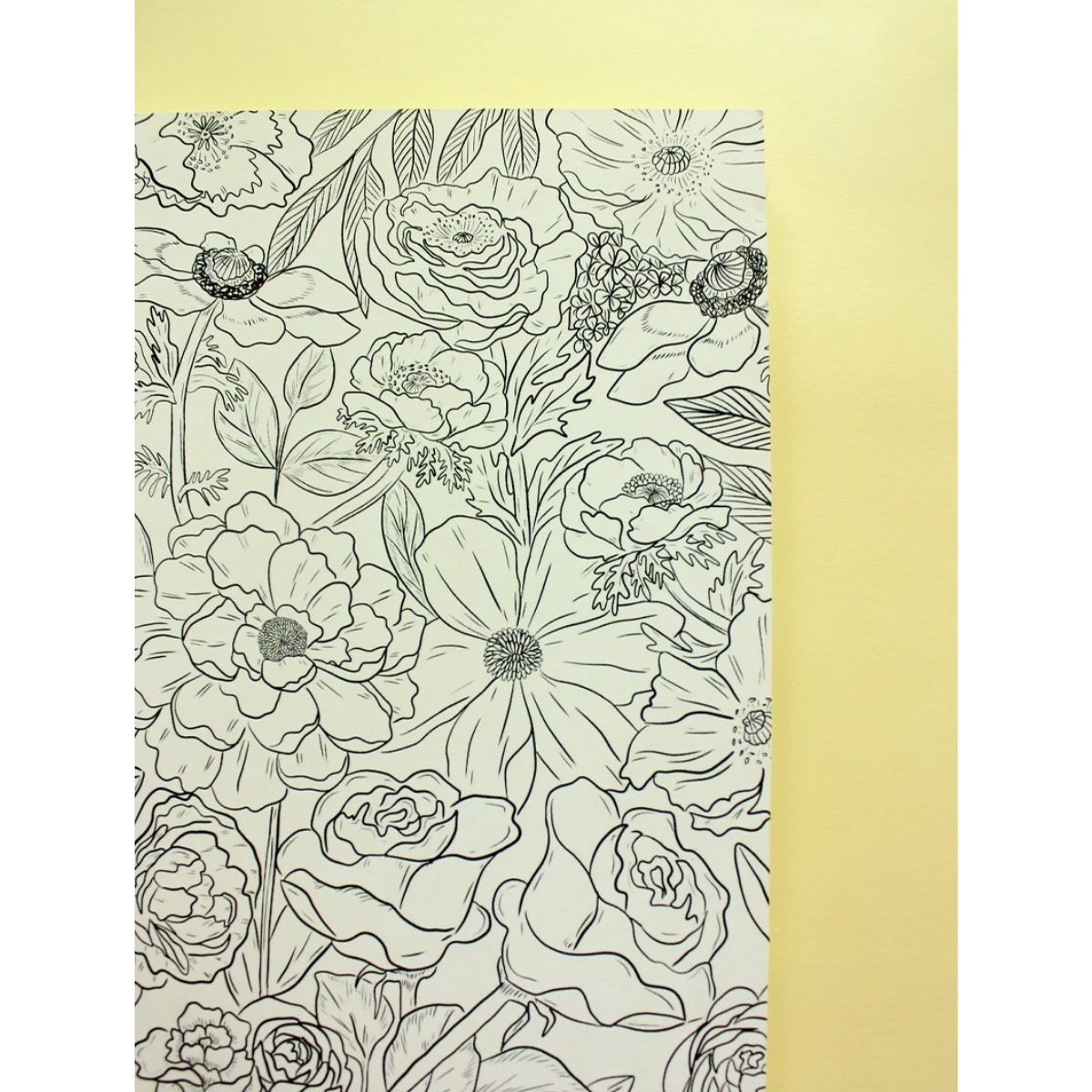 LIBRO PARA COLOREAR FLORAPIA MARIA JOSE GUTIE RREZ - 4