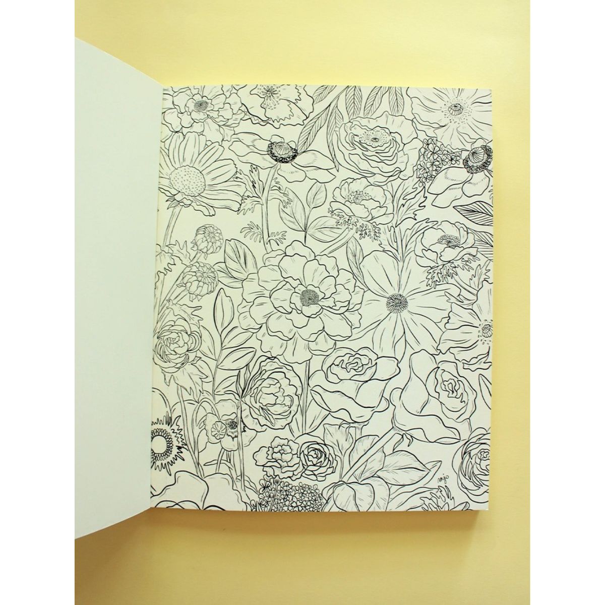 LIBRO PARA COLOREAR FLORAPIA MARIA JOSE GUTIE RREZ - 6