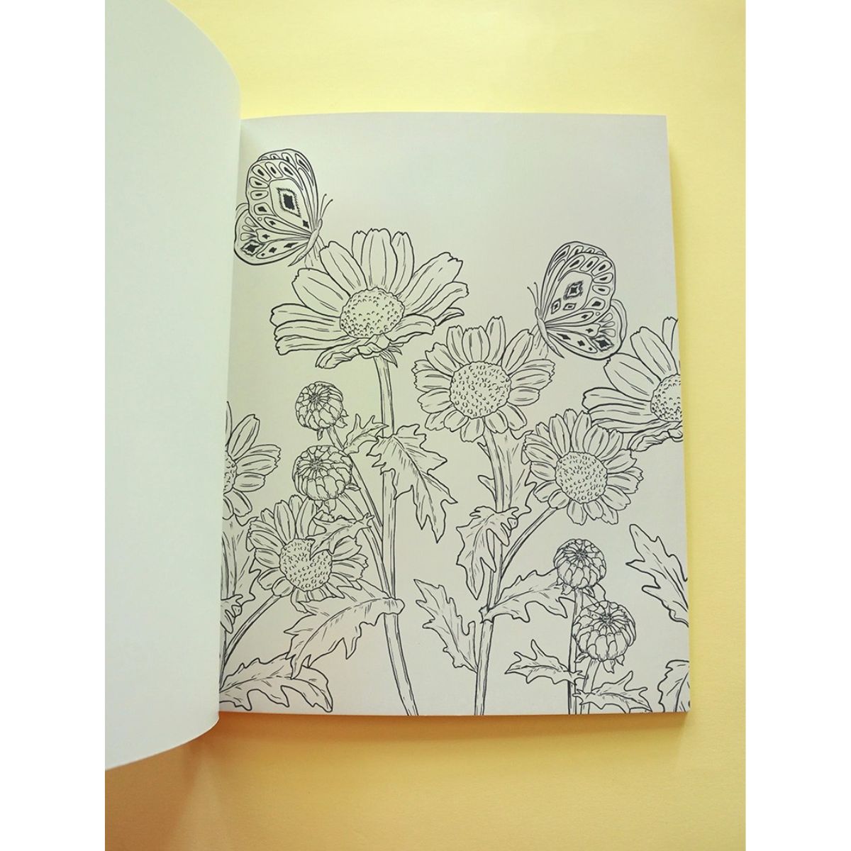 LIBRO PARA COLOREAR FLORAPIA MARIA JOSE GUTIE RREZ - 9