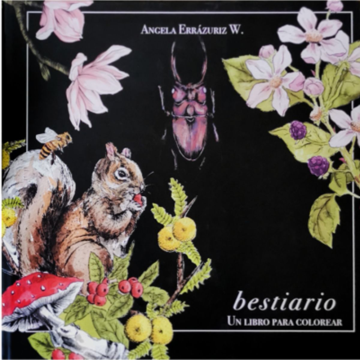 LIBRO PARA COLOREAR BESTIARIO ANGELA ERRAZURIZ - 1